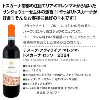 送料無料】バラエティ豊かな個性を満喫☆激旨イタリア赤ワイン6本