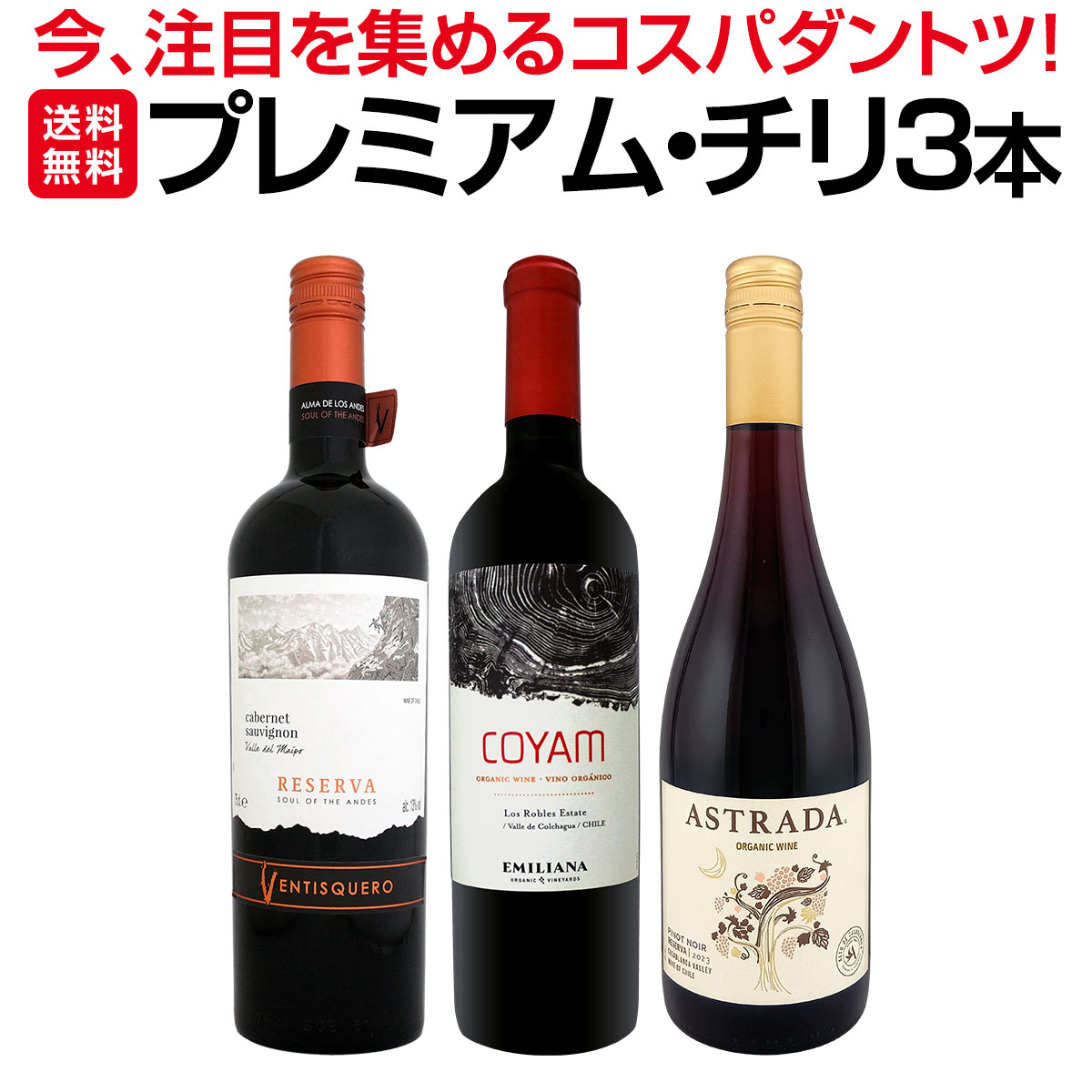 【送料無料】今、注目を集めるプレミアム・チリ3本セットコスパのよさはダントツ ワインセット ミックスワインセット 当店直輸入 オーガニック ピノ・ノワール グラン・レゼルヴァ シャルドネ 濃厚 直輸入ワイン グランレゼルバ ワイン3本セット