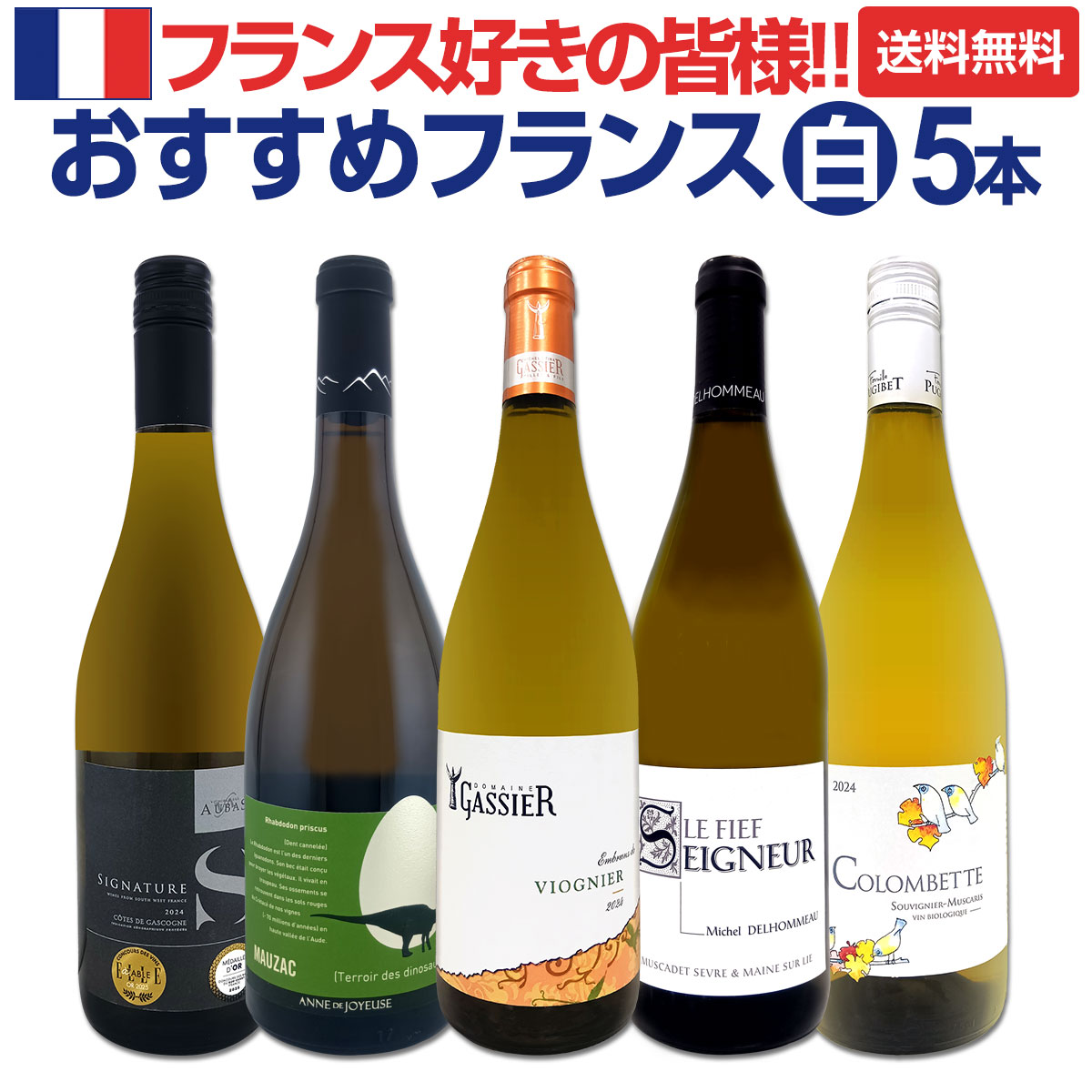 【送料無料】バラエティ豊かな品種の個性を満喫★おすすめフランス白ワイン5本セット!!
