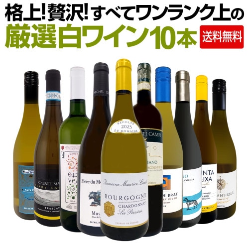 スパークリングワイン 白 カテナ・アラモス・エキストラ・ブリュット