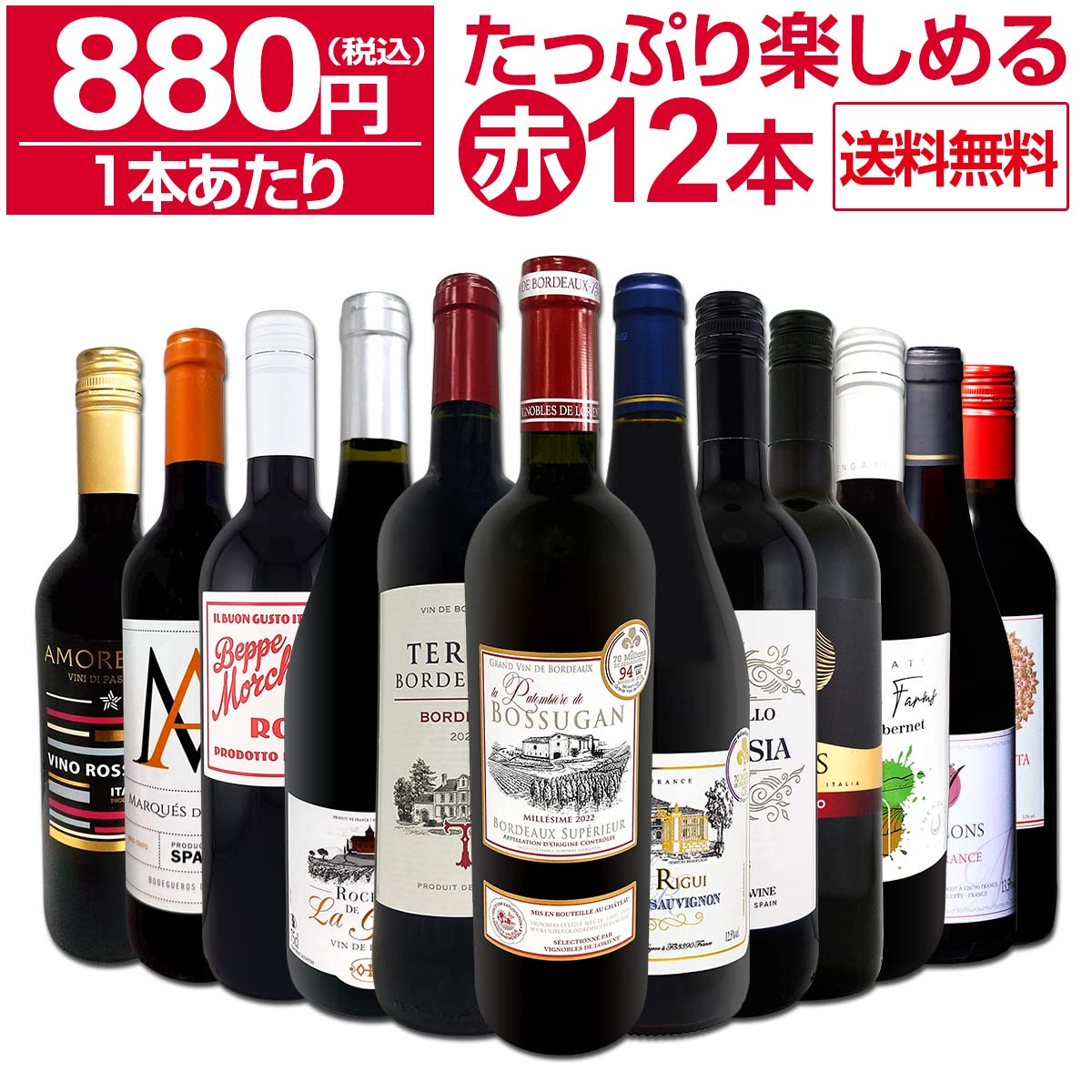 【送料無料】第95弾!1本あたり880円(税込)!!採算度外視の大感謝!厳選赤ワイン12本セット