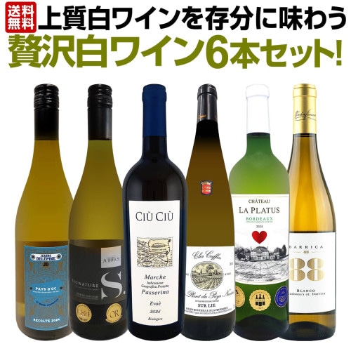 ドメーヌ・ラ・コロンベット シャルドネ 2024 | 白ワイン | 京橋ワイン