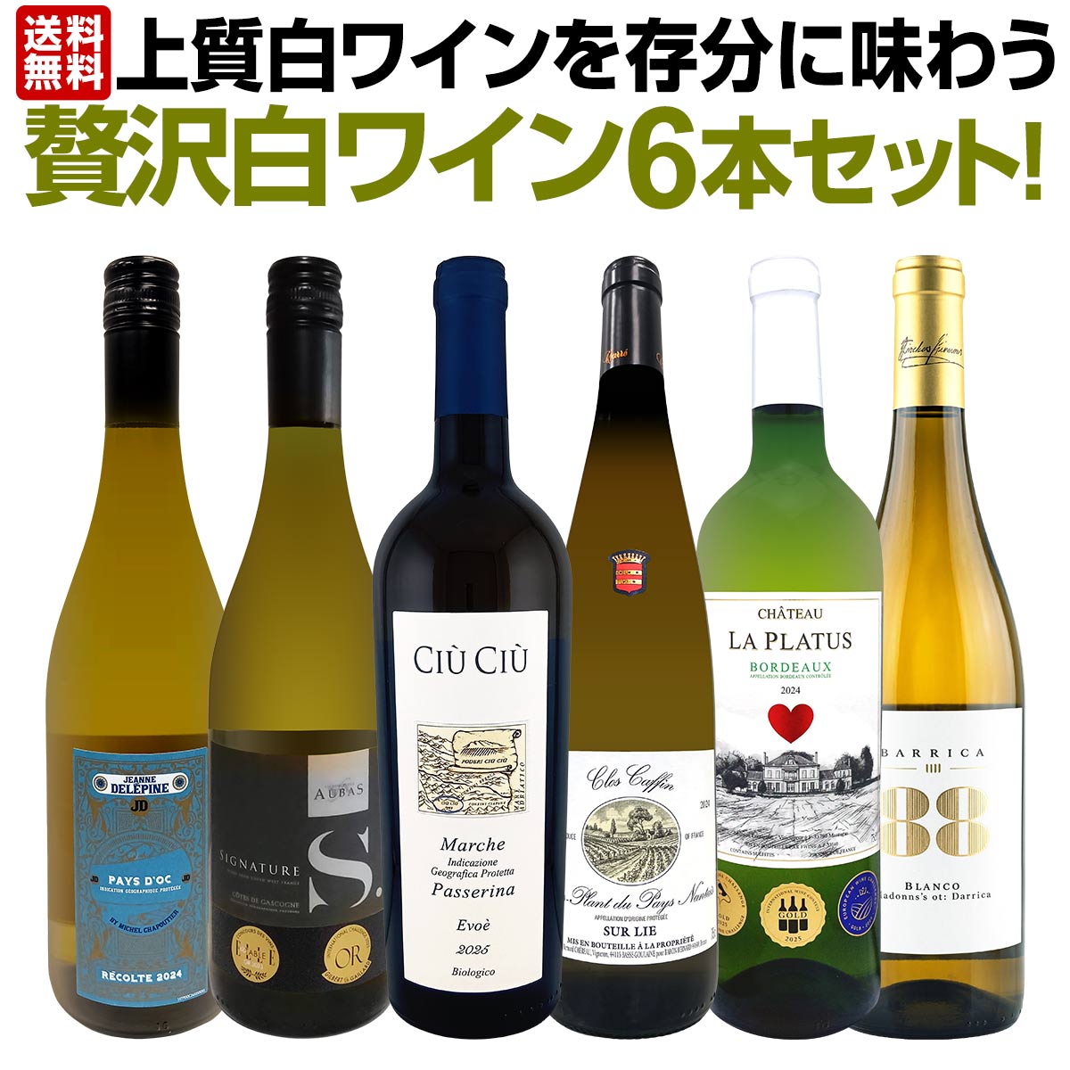 【送料無料】第75弾!当店≪極≫厳選！白ワイン好きならこのセット！格別の美味しさ！華やかな上質白ワインを存分に味わう贅沢白ワイン6本セット！