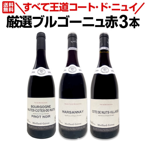 1本あたり1,100円 ボジョレー　ヴィラージュ　ヌーヴォー　2025 12本 ボジョレー ヌーボー 2025 ボジョレー ヌーヴォー 【新酒先行予約11月