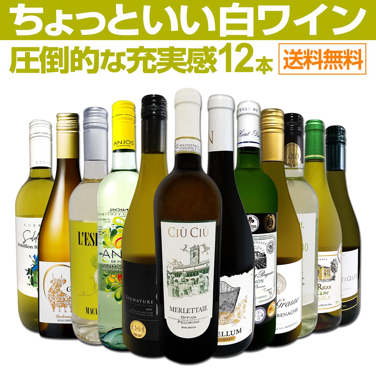 ������̵������87�ơ���Ź��������Ф��������������äȤ�����磻��12�ܥ��åȡ�