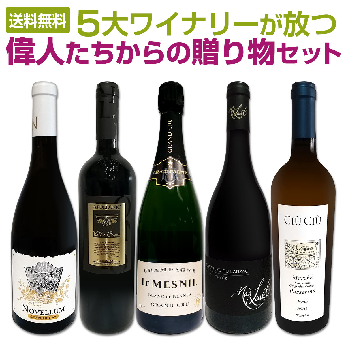 送料無料】5大ワイナリーが放つ 偉人たちからの贈り物セット | ワイン