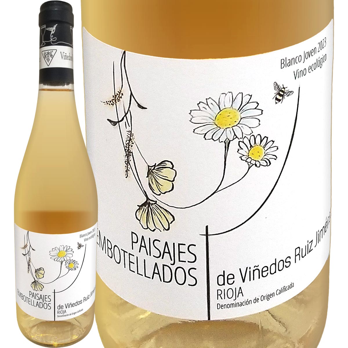 �ӥΥǥ����륤�����ҥ�ͥ��� �ѥ����إ����֥�� 2023<br>�ڥ��ڥ���ۡ���磻��ۡڿɸ��ۡڥꥪ�ϡ����ꥨ�󥿥�ۡڥꥪ�ϡ��Хϡۡڥƥ�ץ�ˡ���硦�֥�󥳡ۡ��þ��ϡۡڥӥ��ǥ��ʥ���ˡ�ۡڥǥ᥿��ǧ�ڡۡڥ������˥å���