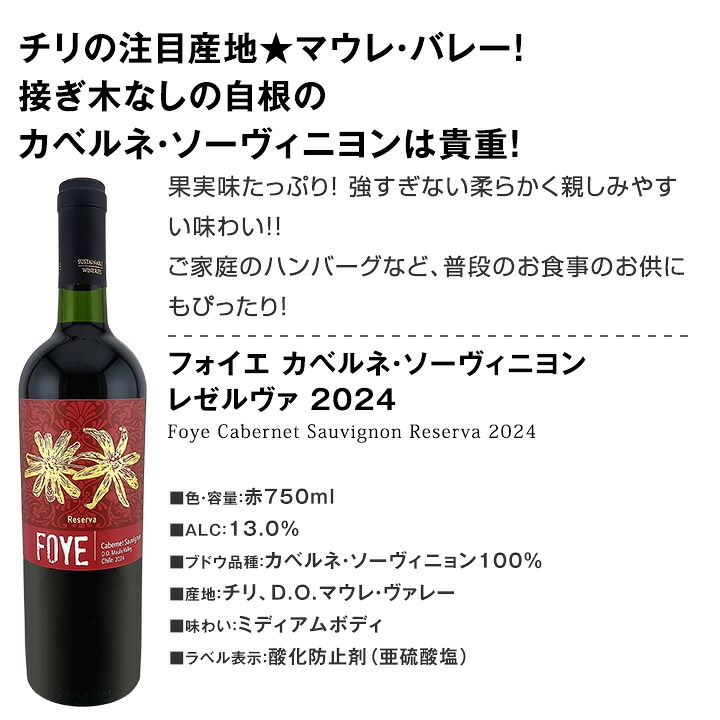 【送料無料】超お買い得！当店でしか買えない新世界ワイン、赤白スパーク6本セット！