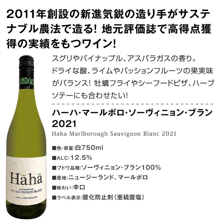 ������̵������͵��˥塼��������2�ܤ����ä����ֲ�����䤫�ʥ��������˥�󡦥֥��������!!