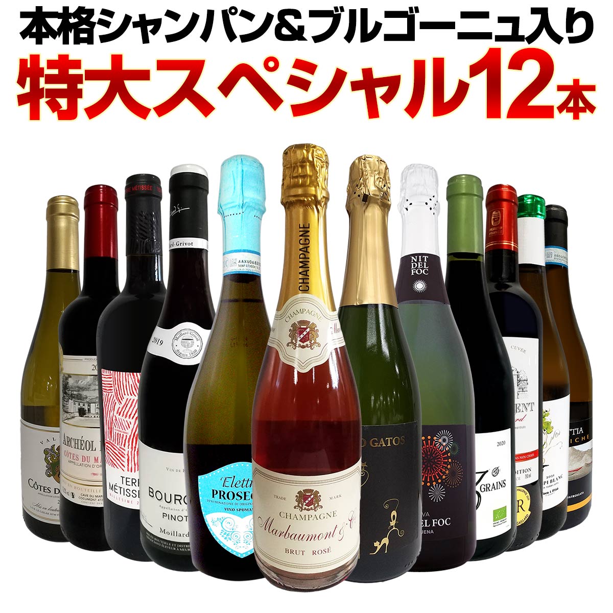 ̵32ơܳʥѥ֥르˥ꡪ祹ڥ12ܥåȡ