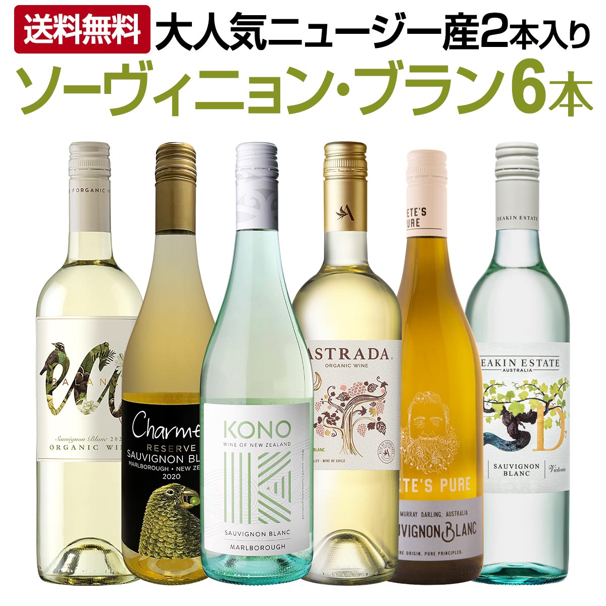 【送料無料】大人気ニュージー産が2本も入った！爽快さわやかなソーヴィニョン・ブラン厳選６本!!