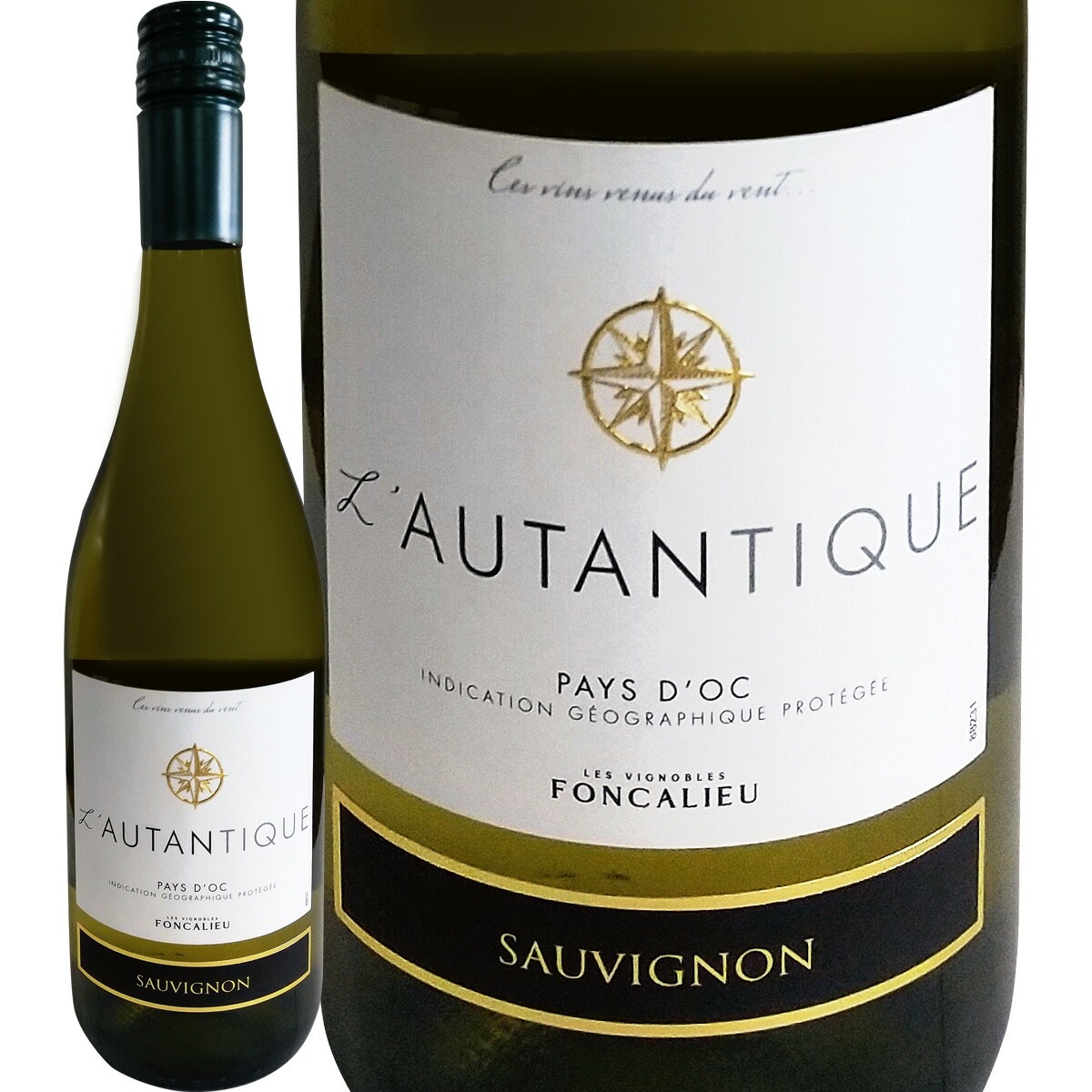 ������ƥ����������������˥�󡦥֥��(�ǿ�������ơ����Ǥ��Ϥ�)<br><br>�ڥե�� �ۡ�750ml��