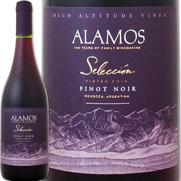 ���ƥʡ�����⥹�����쥯�����󡦥ԥΡ��Υ�� �ʺǿ�������ơ�����