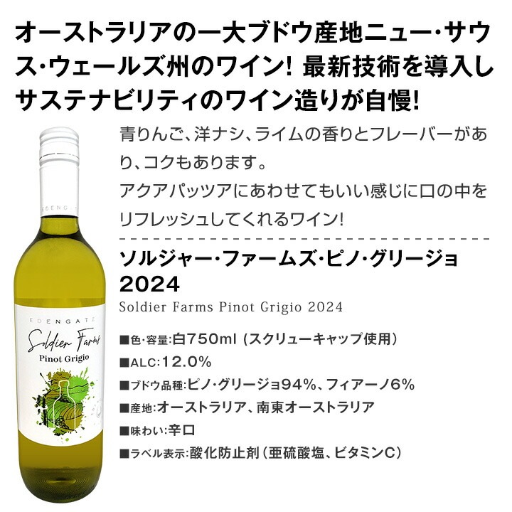 【送料無料】第98弾！当店オススメばかりを厳選したちょっといい白ワイン12本セット！