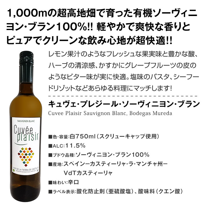【送料無料】第98弾！当店オススメばかりを厳選したちょっといい白ワイン12本セット！