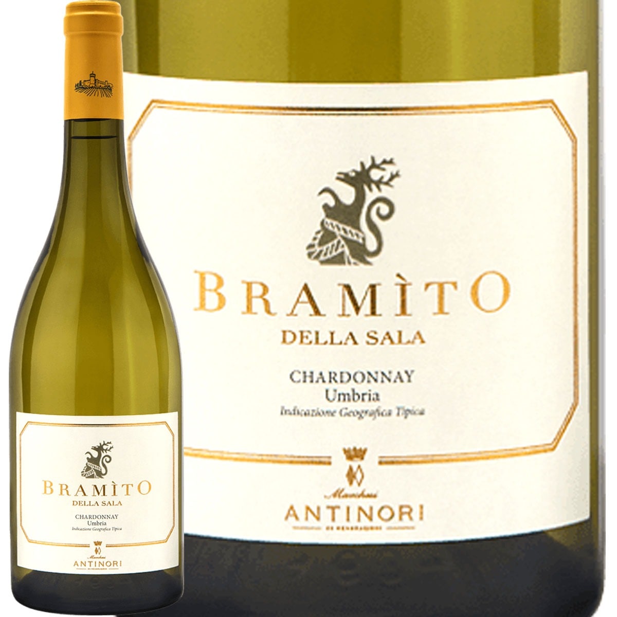 ƥåǥå顦顦֥ߡȡǥå顦 2023<br><br>ڥꥢۡ磻ۡڿɸ