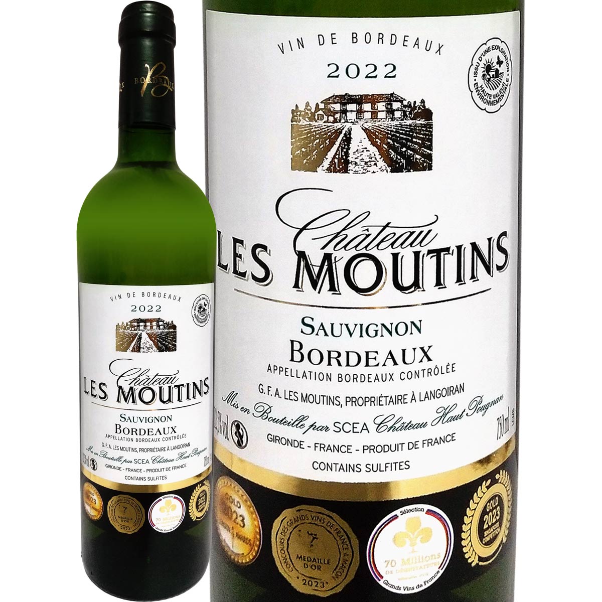 ����ȡ����졦�ࡼ���󡦥֥�� 2022<br><br>�ڥե�󥹡ۡ���磻��ۡڥܥ�ɡ��ۡڶ�ޡۡڿɸ���