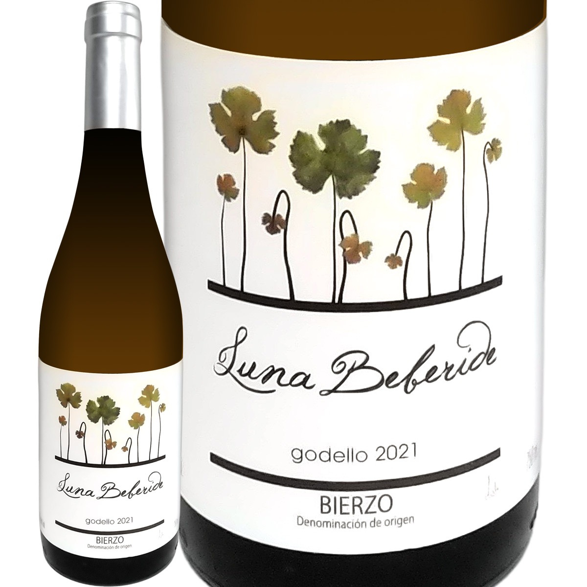 ��ʡ��٥٥�ǡ����ǡ���硦�ӥ��륽 2021 ��磻��