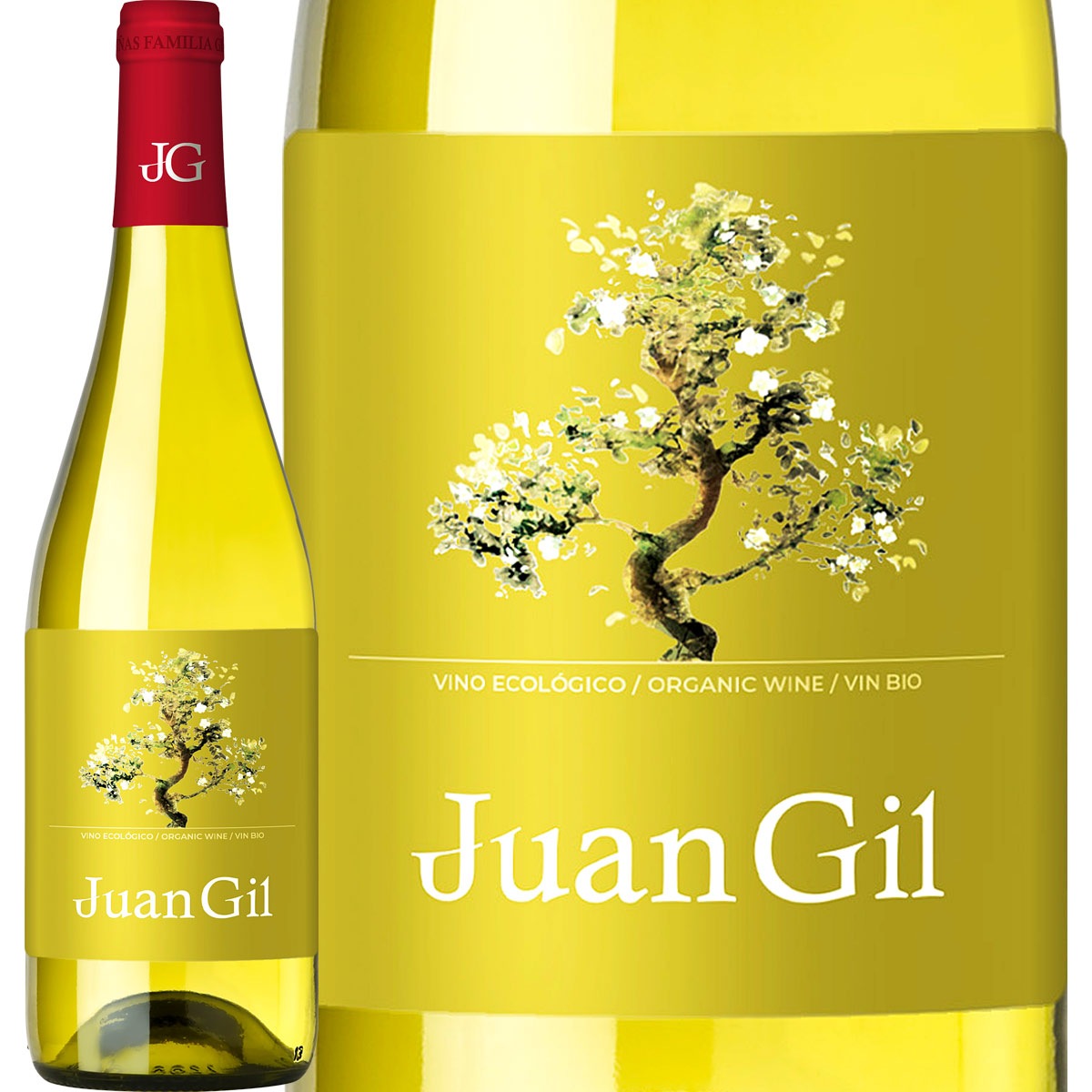 �ե��󡦥ҥ롦�⥹���ƥ롦�֥�󥳡��ȥ�����ɡ�2024<br><br> ���ڥ��� ��磻�� �ɸ� 750ml �ߥ她�� �եߡ���� �� �ָ� ������٥� ��륷�� ���ե� �ץ쥼���