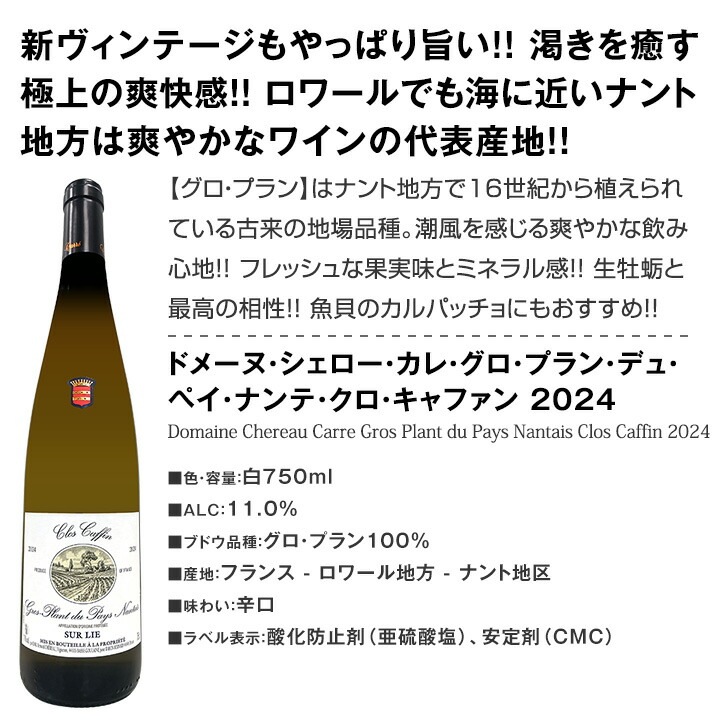 【送料無料】品種とか産地とか難しいことは抜き！素直に美味しい白ワイン5本セット！