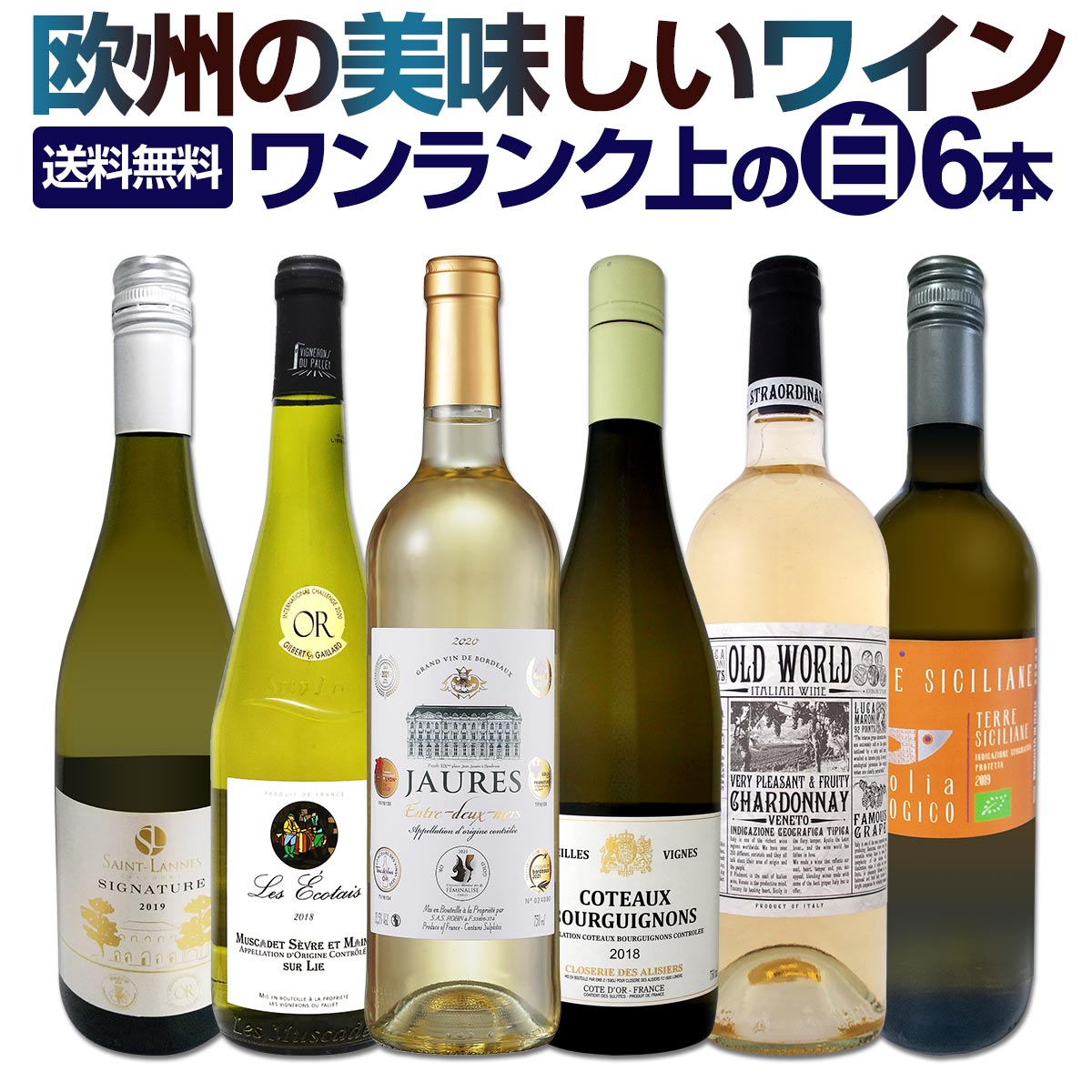 グランポレール 山梨シラー貴腐（赤）15周年記念 バカラグラス