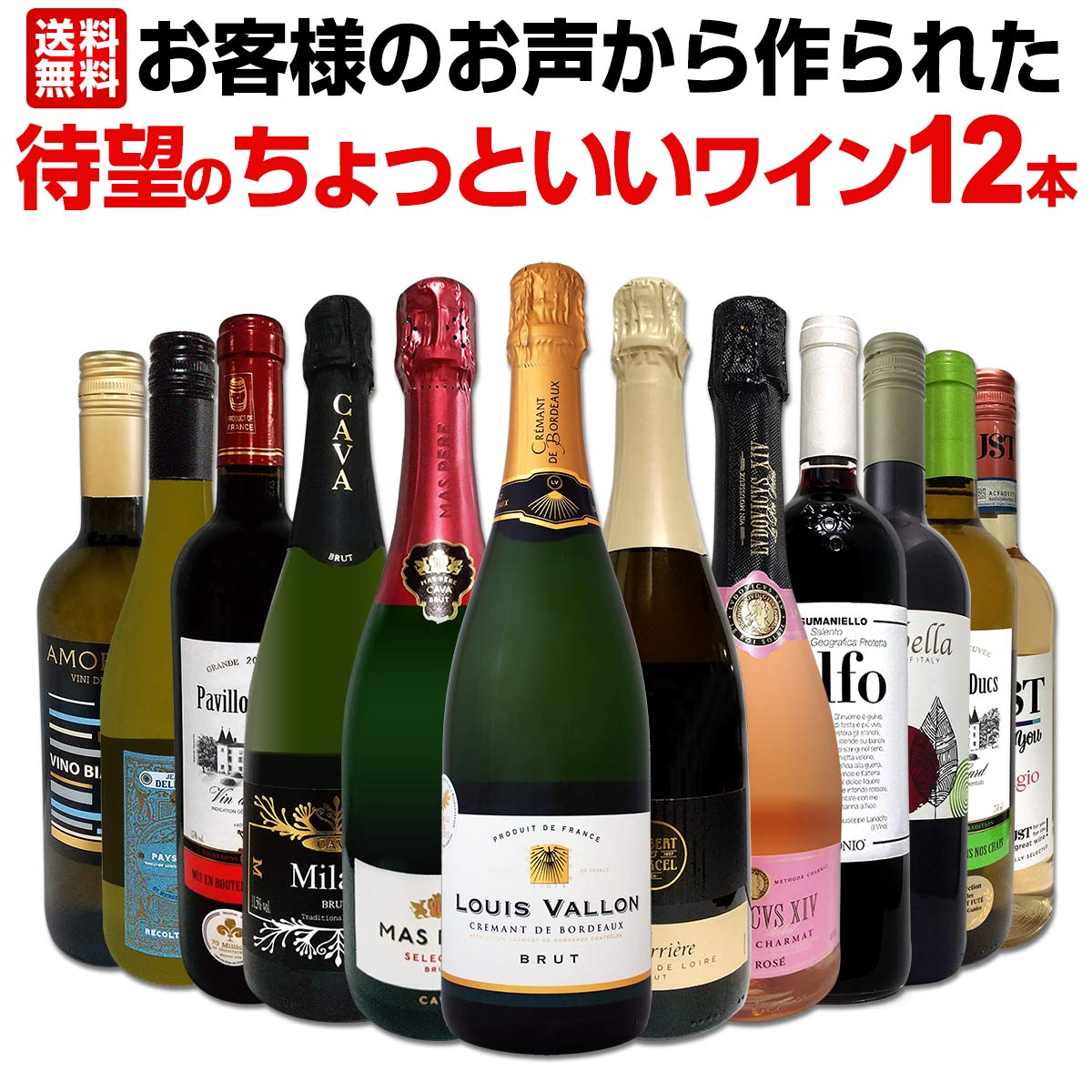 ������̵���ۤ����ͤΤ���������줿��˾�Τ���äȤ����磻��12�ܥ��åȡ�