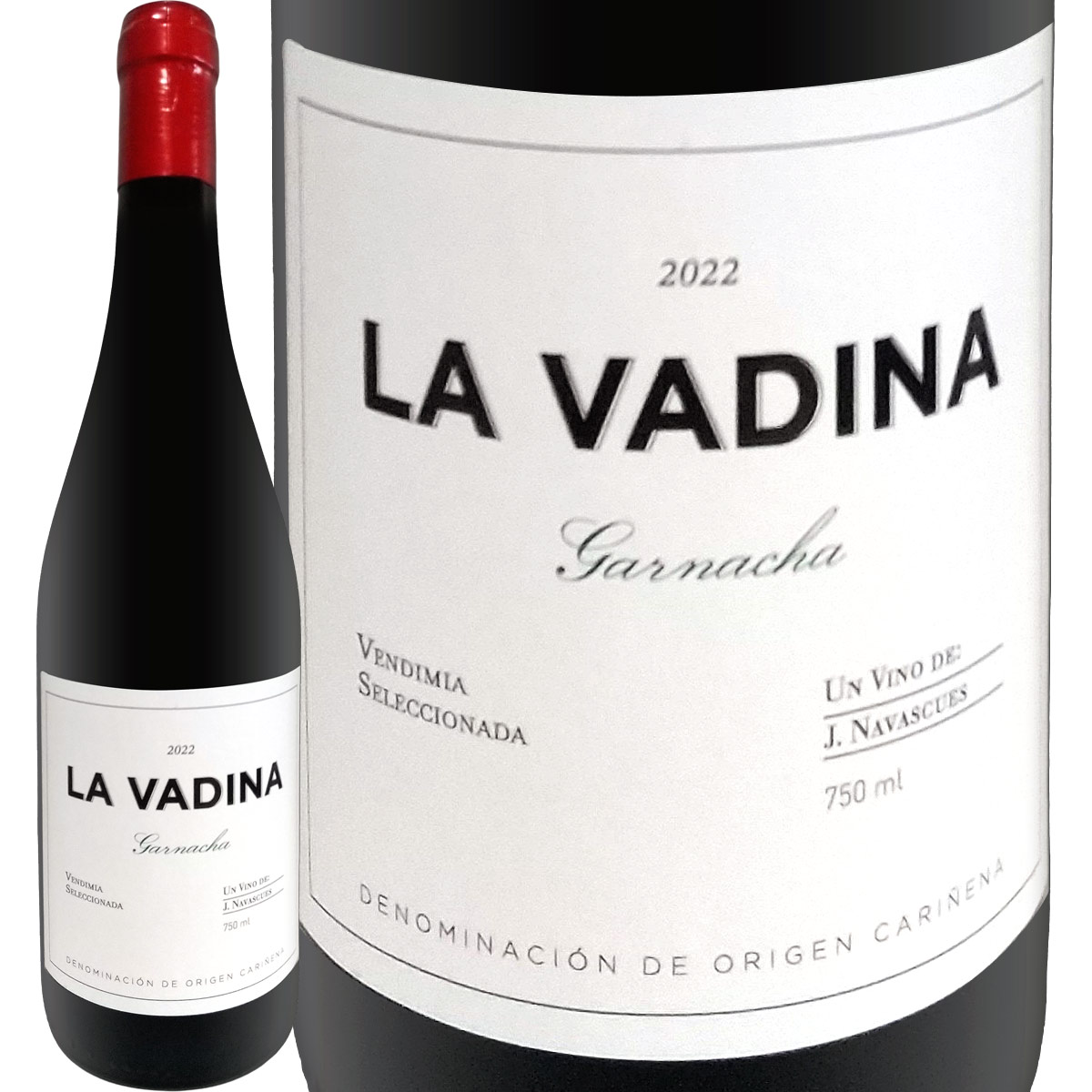 �顦�Хǥ����ʡ�����ʥå��㡡2022<br>���ڥ��� �֥磻�� �ѡ�����91�� D.O.����˥��� ���饴�� �ۥ�ء��ʥХ������� ͭ̾��¤�� �ɥ饤�ӥ󥰡��磻��᡼���� �ߥǥ�����ܥǥ� �ե�ܥǥ� 750ml ���� �����