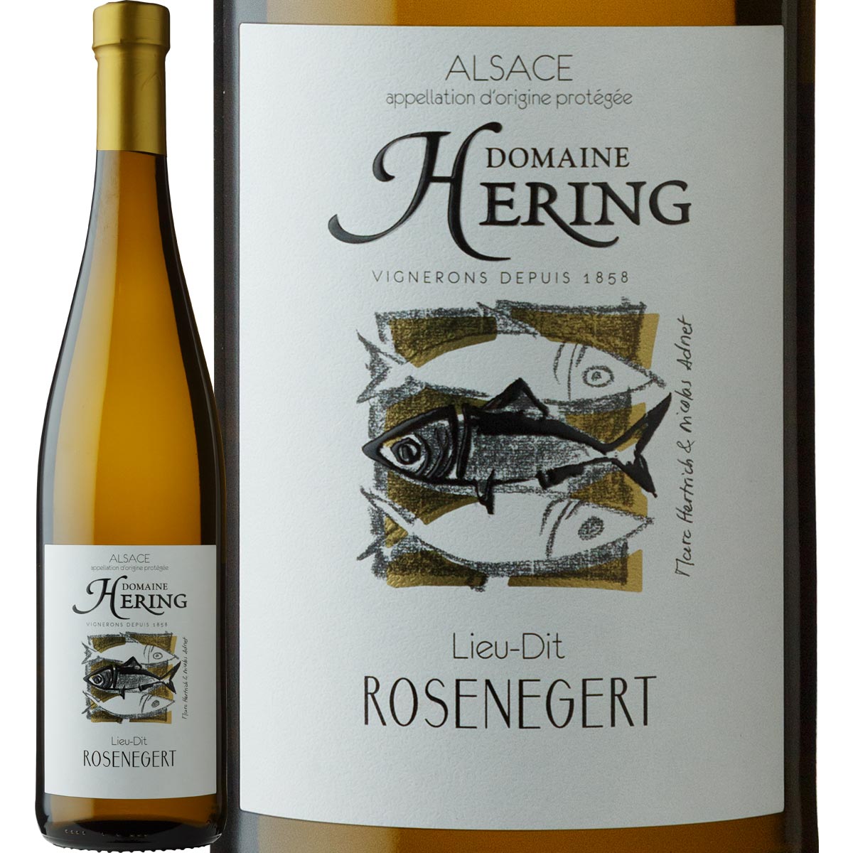 �إ�� �������󥨡������ 2020 ��磻��