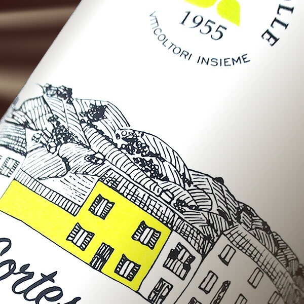 ����ƥ��ʡ����꡼�������٥롦�����졦����ơ������ǥ롦����ȡ����ե��顼�� 2021 ��磻��