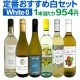 ������̵������217�ơ��λ��ٳ���μղ���衪��Ź���������紶�դ�����­��磻�󥻥å� 6�ܡ�