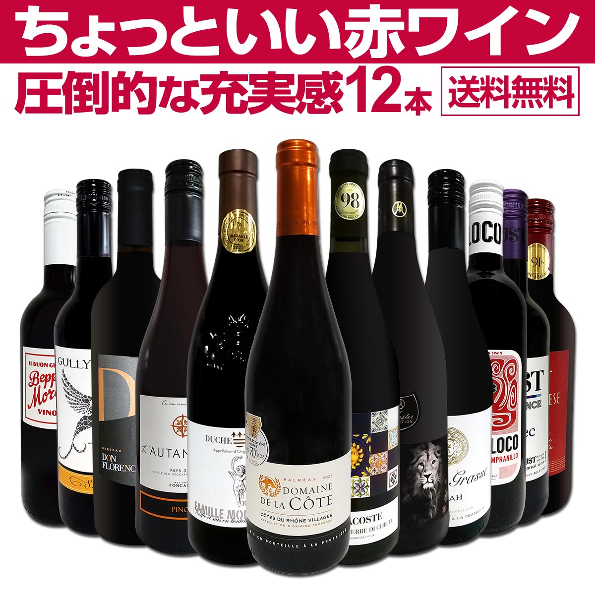 【送料無料】第69弾！当店オススメばかりを厳選したちょっといい赤ワイン12本セット！