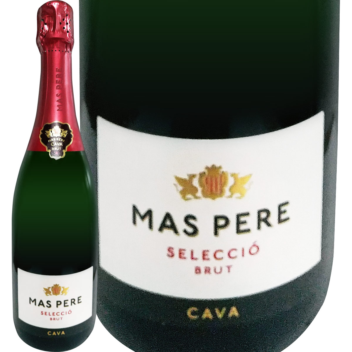 ���С��ޥ����ڥ졦���쥯�������֥��å�<br>���ڥ��� �򥹥ѡ�����󥰥磻�� �ߥǥ�����ܥǥ����Υ饤�ȥܥǥ� �ɸ� �����롼�˥� ���󡦥��ɥ���ˡ����Υ��� ������ ������ȯ�� ������ˡ