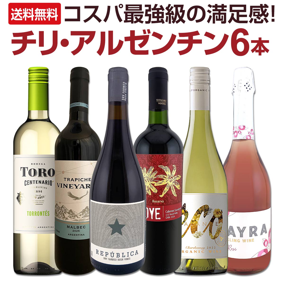 【送料無料】コスパ最強級の満足感！チリ・アルゼンチンのワイン６本！毎日飲んでも飲み飽きないバラエティ豊かな品種違い！