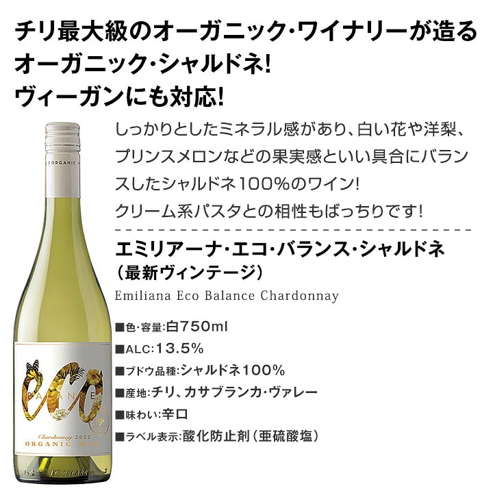 【送料無料】コスパ最強級の満足感！チリ・アルゼンチンのワイン６本！毎日飲んでも飲み飽きないバラエティ豊かな品種違い！