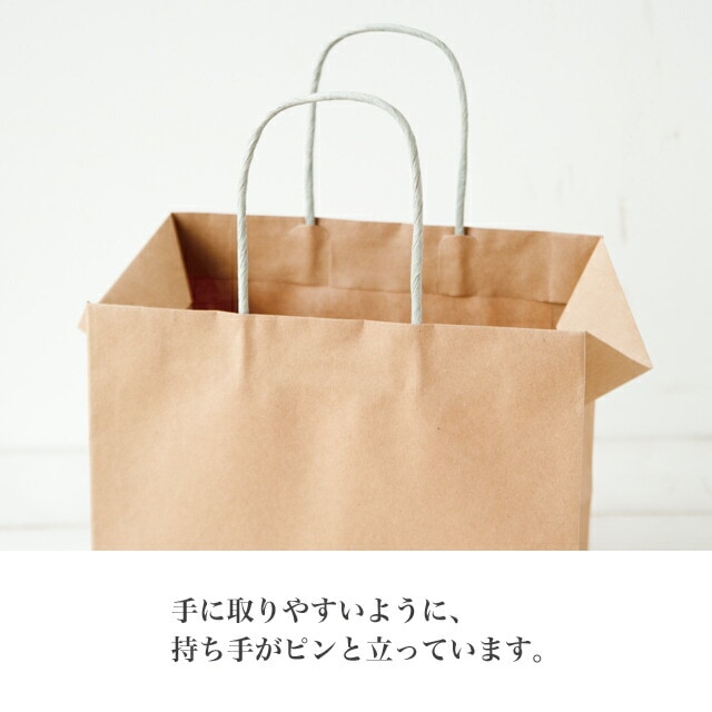 バルーン付ギフト専用手提げ袋
