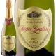 㡼顼ȡСɡ֥å<br><br>ڥ ѡ󥰥磻 750ml ɸ  CAVA ⿧٥ 롼˥ å ޥ٥ ѥ㡼 ǿVTǤΤϤ