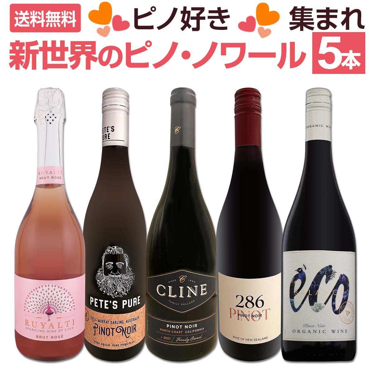 送料無料】ピノ好き集まれ！デイリーに楽しむ新世界ピノ・ノワール厳選