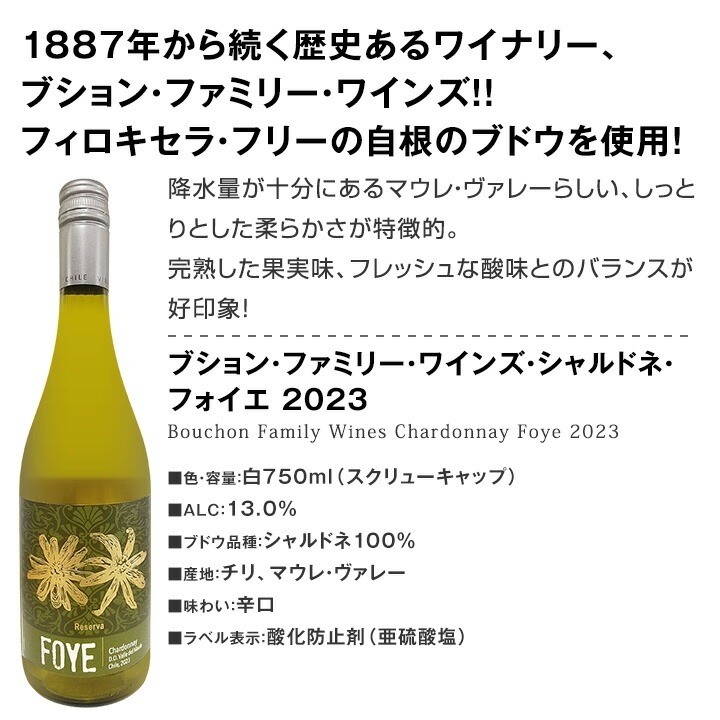 【送料無料】赤ワインも！白ワインも！スパークリングワインも！当店オススメばかりを厳選したちょっといいワイン12本セット！