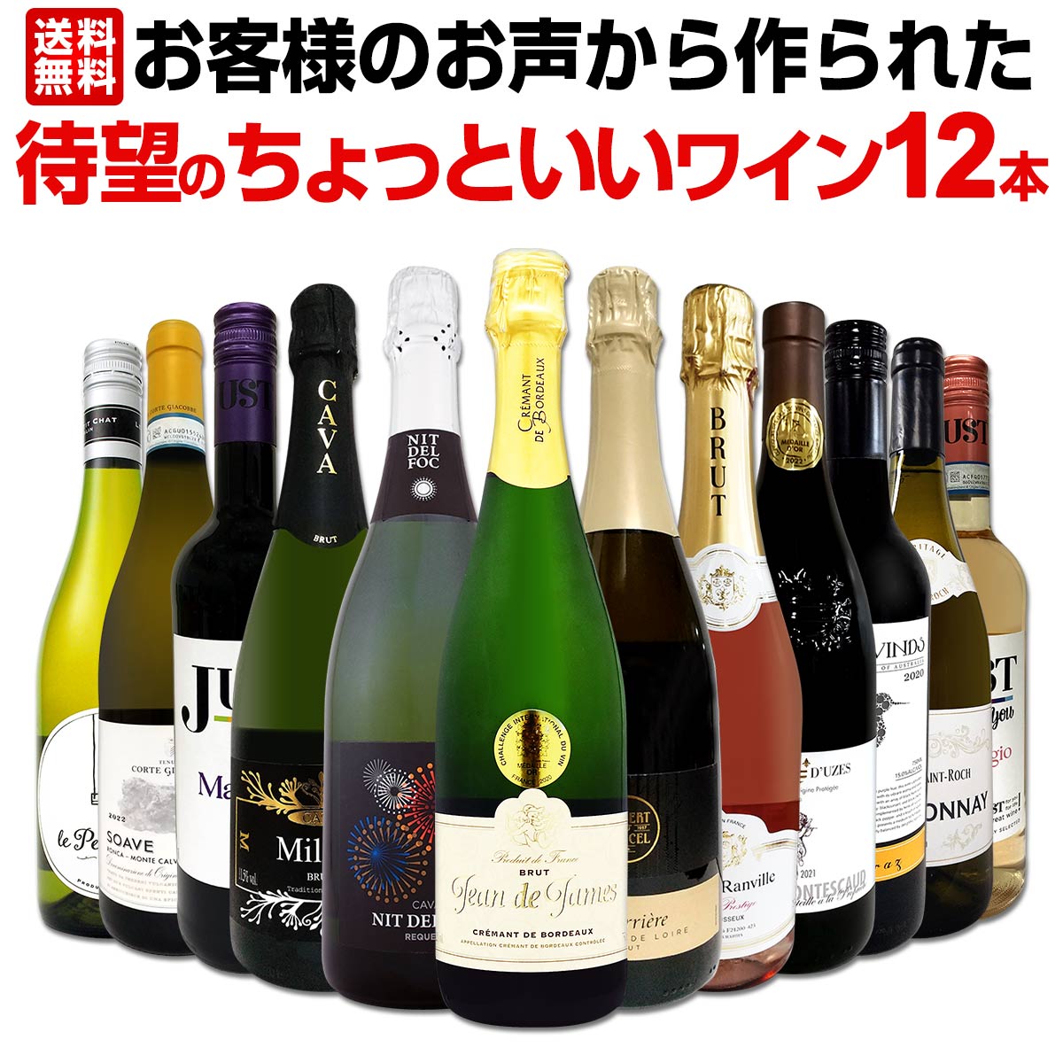 ������̵���ۤ����ͤΤ���������줿��˾�Τ���äȤ����磻��12�ܥ��åȡ�