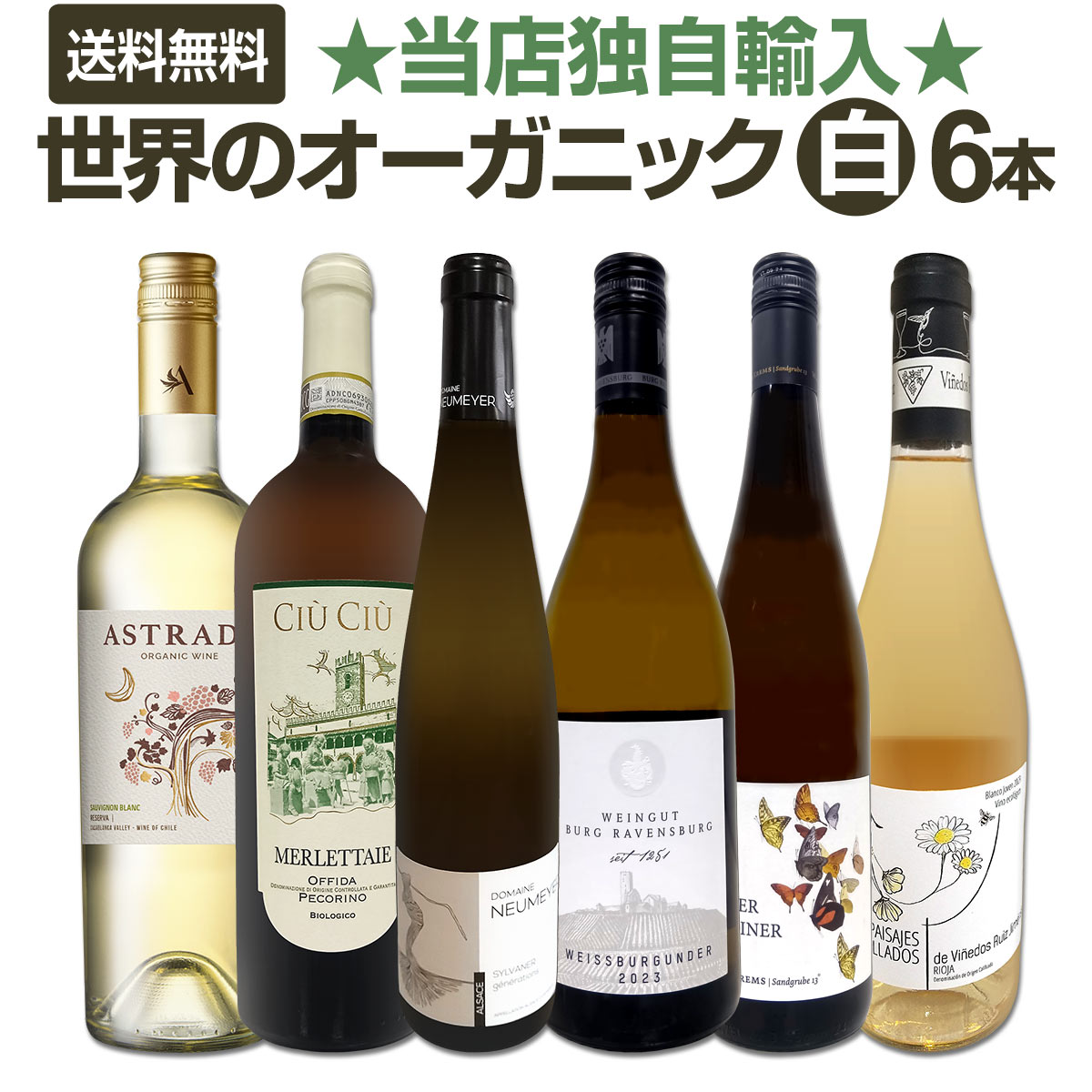 ������̵���ۡ���Ź�ȼ�͢�����Х��䡼�����������Υ������˥å���磻��6�ܥ��åȡ�