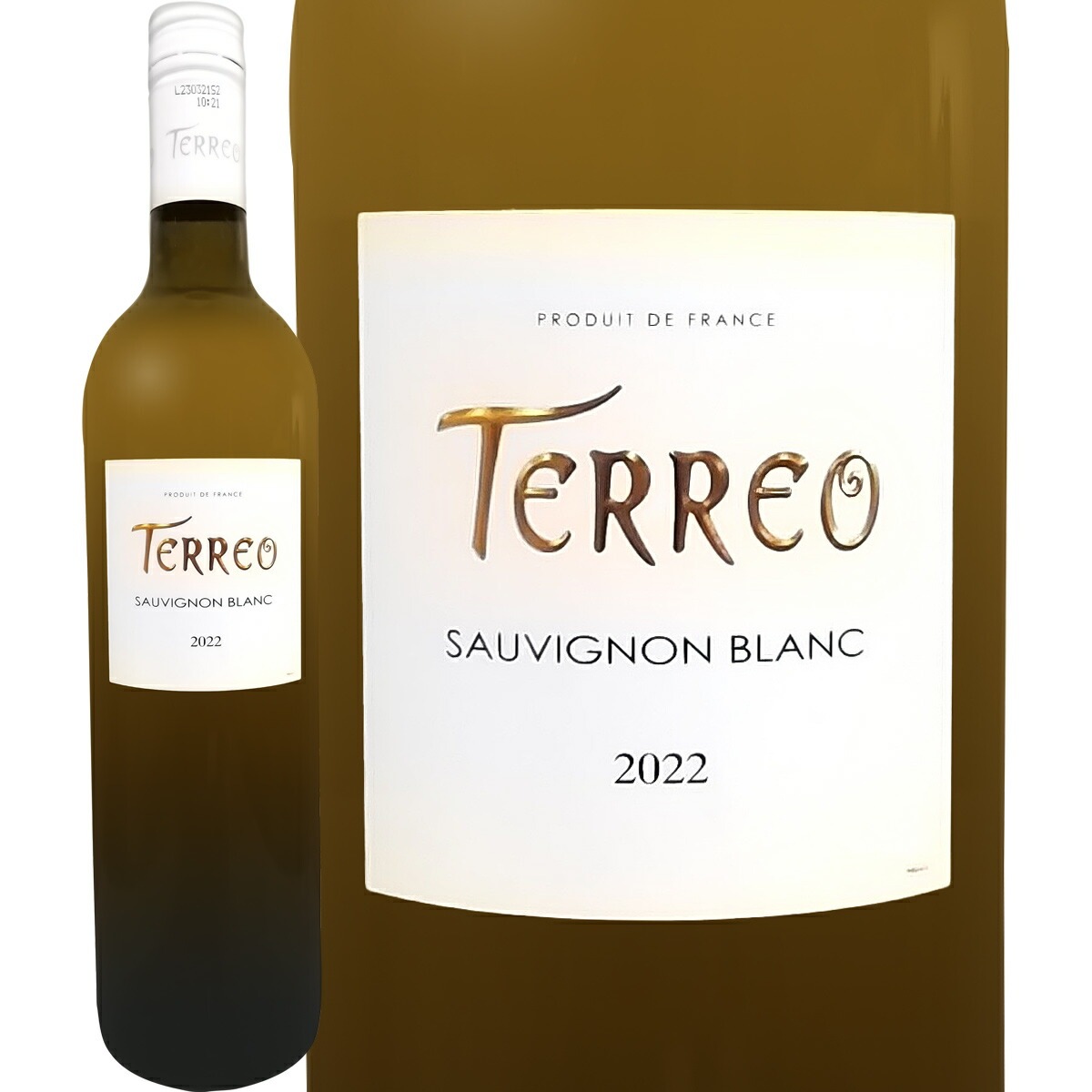 �ƥ쥪�����������˥�� 2022 ��磻��