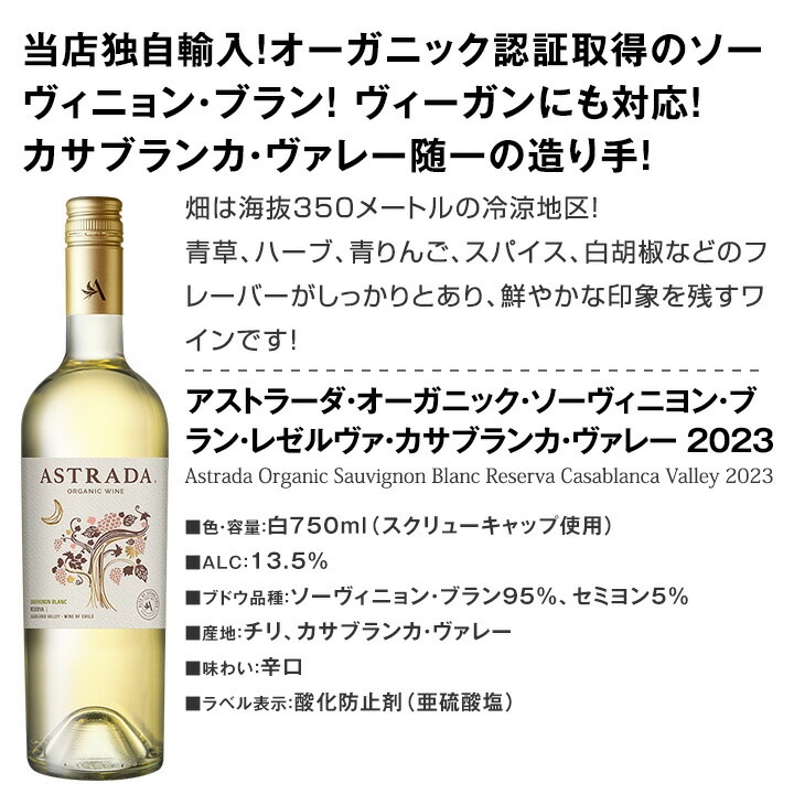 ̵ۡŹȼ͢͵ʼΥ˥󡦥֥磻6ܥåȡ