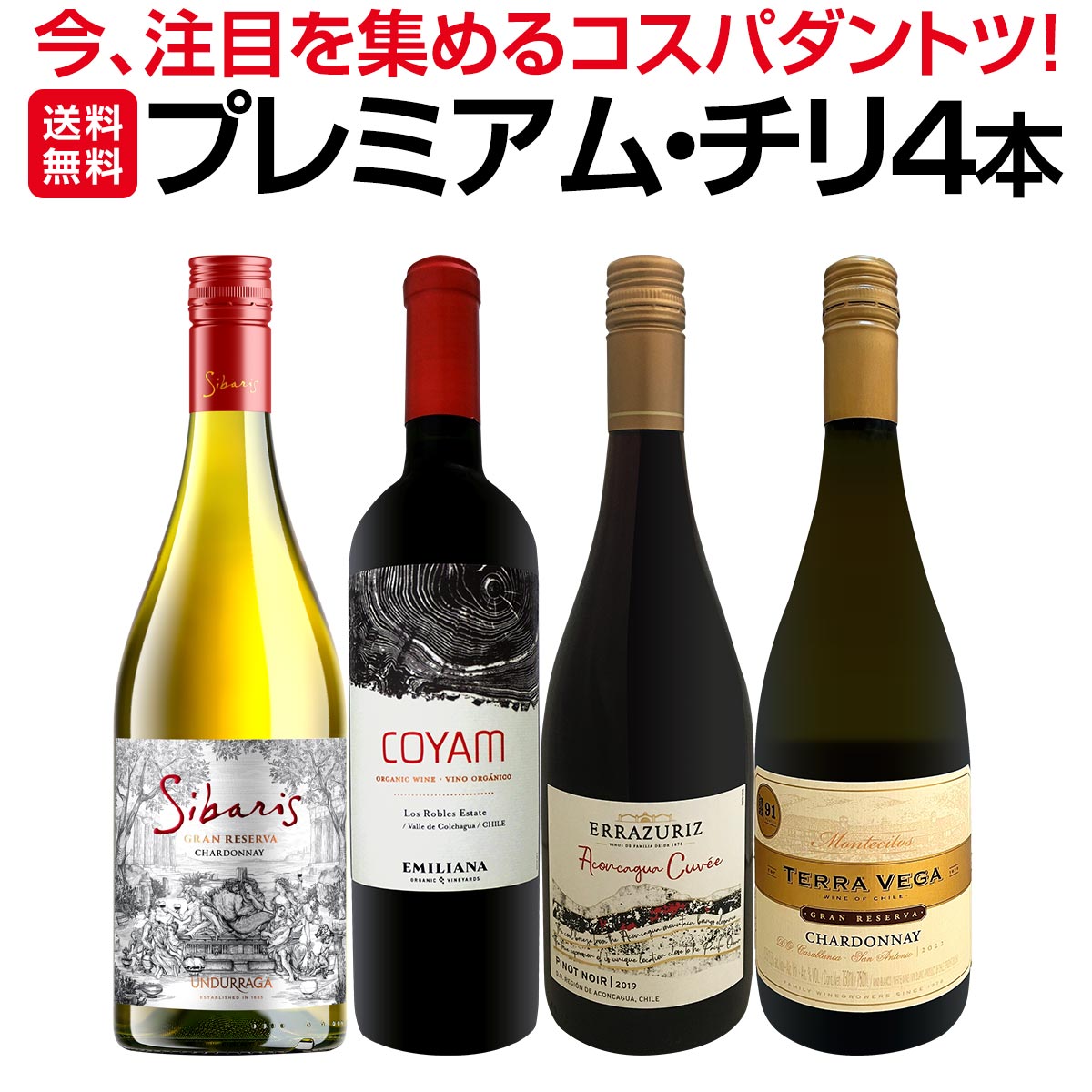 【送料無料】今、注目を集めるプレミアム・チリ4本セット！コスパのよさはダントツ！