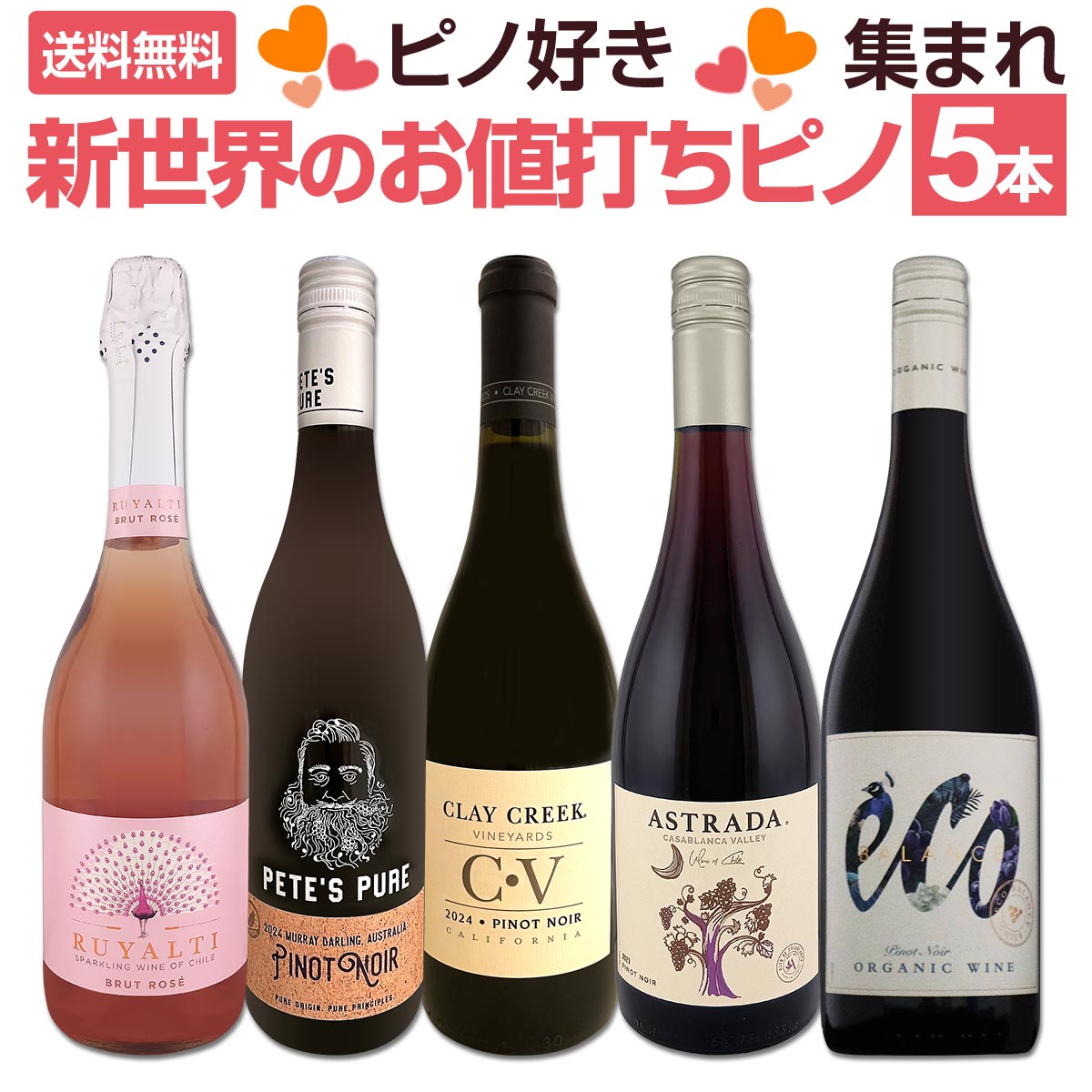 送料無料】ピノ好き集まれ！デイリーに楽しむ新世界ピノ・ノワール厳選