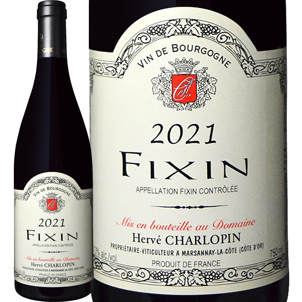 �ɥ᡼�̡�����������������ѥ󡦥ե����� 2021 �֥磻��