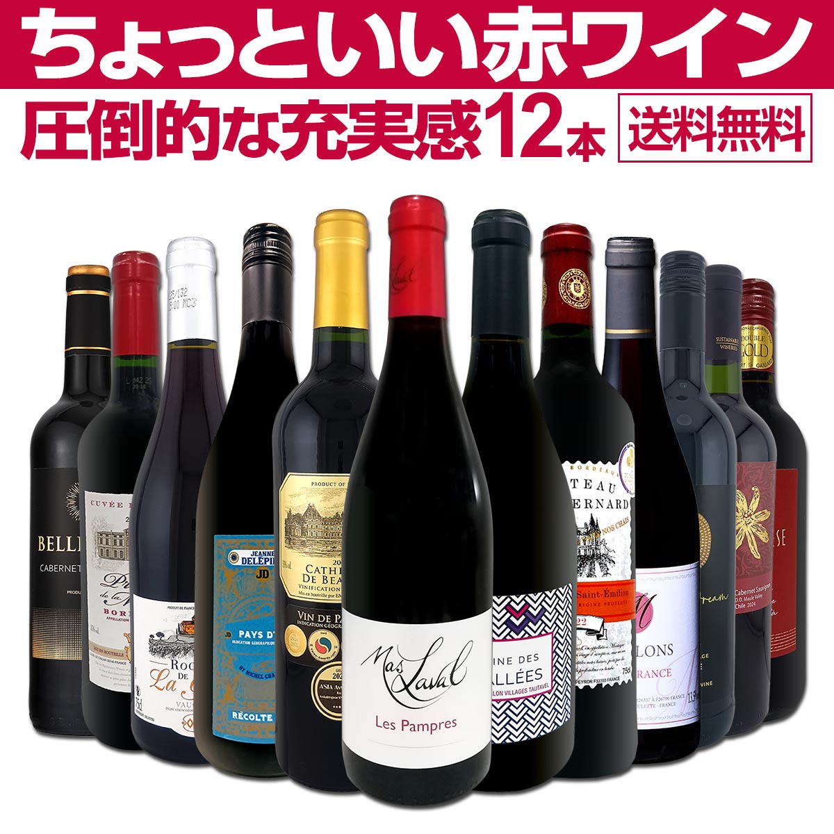 【送料無料】第99弾！当店オススメばかりを厳選したちょっといい赤ワイン12本セット！