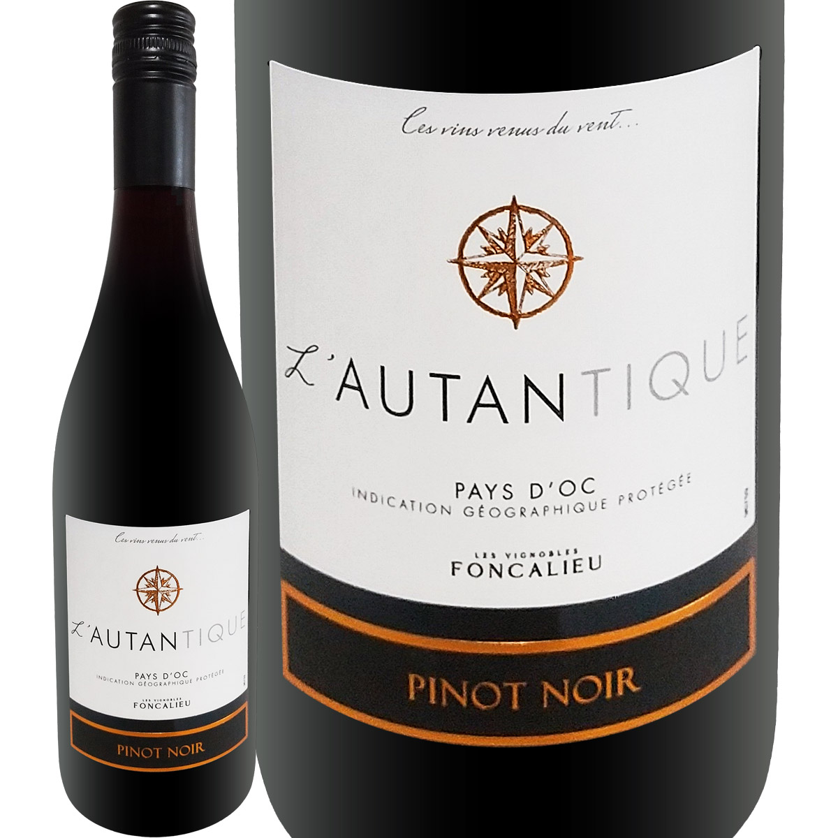 ������ƥ����� �ԥΡ��Υ��<br><br>�ڥե�� �ۡ�750ml��