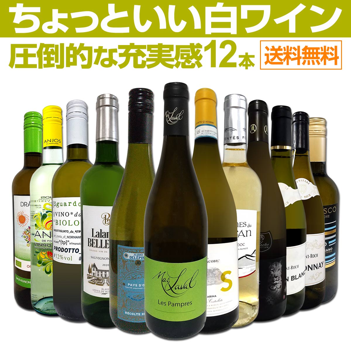 ̵66ơŹФäȤ磻12ܥåȡ