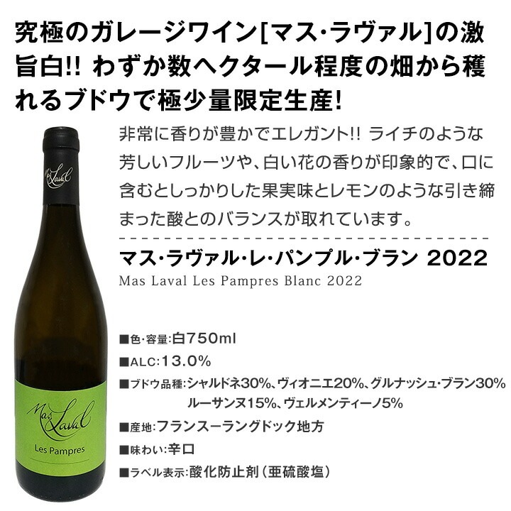 ̵66ơŹФäȤ磻12ܥåȡ