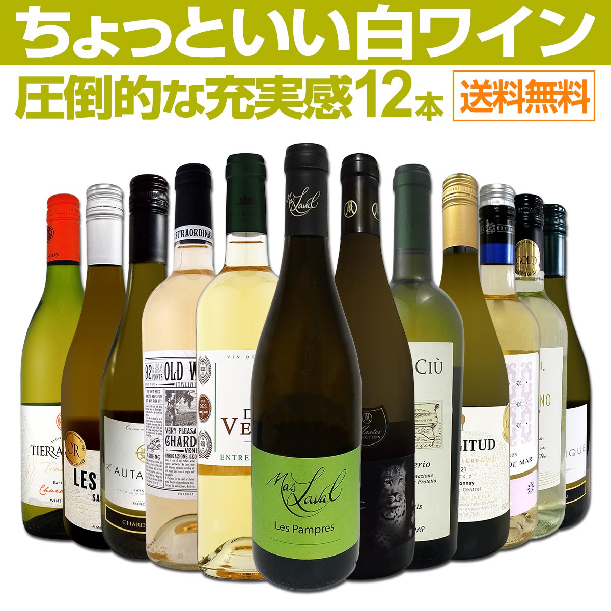 ������̵������76�ơ���Ź��������Ф��������������äȤ�����磻��12�ܥ��åȡ�